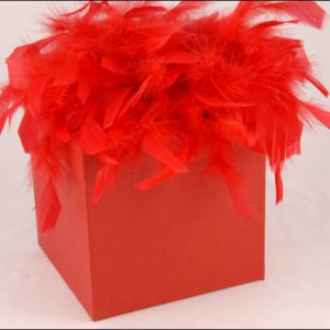 pashmina_in_feathered_box