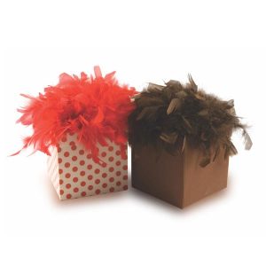 pashmina-in-feathered-box